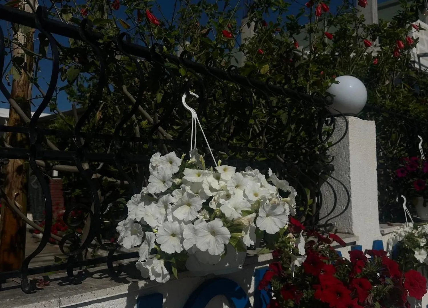 Varka Room Vlorë